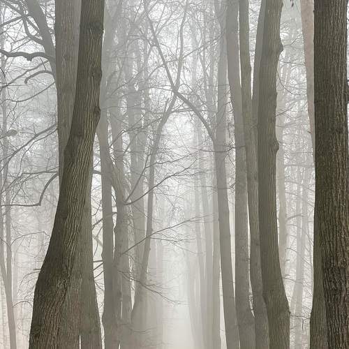 Photo #7481535