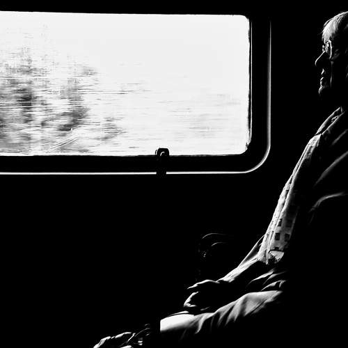 Photo #7481664