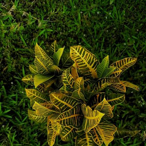 Photo #7482173