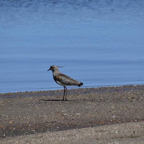 Photo #7482327
