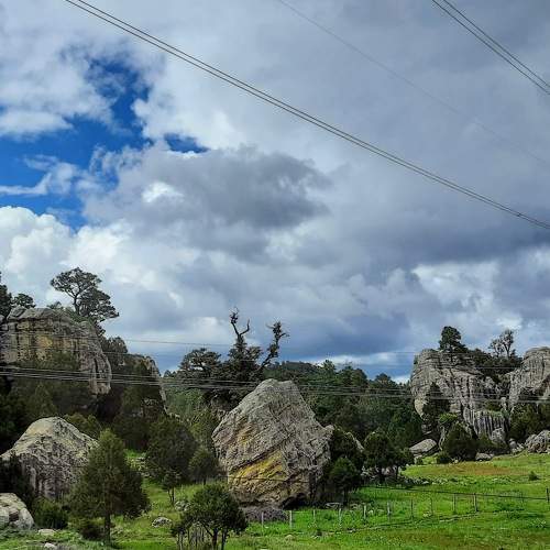 Photo #7482448