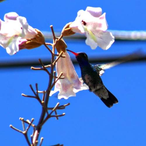 Photo #7482453