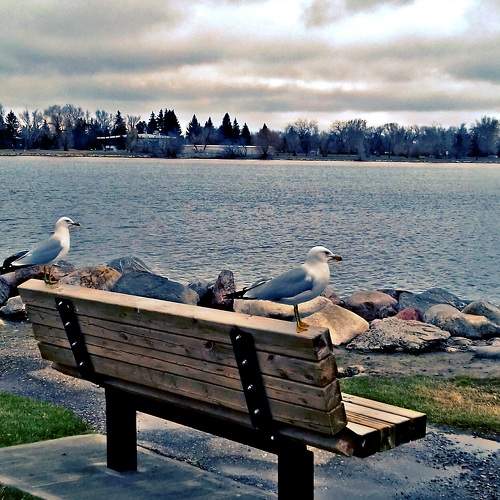 Photo #7482461