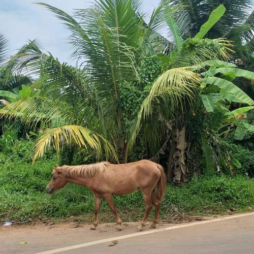 Photo #7482481