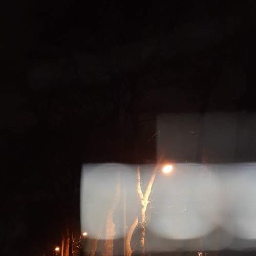 Photo #7482588