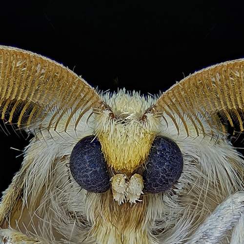 Photo #7482931