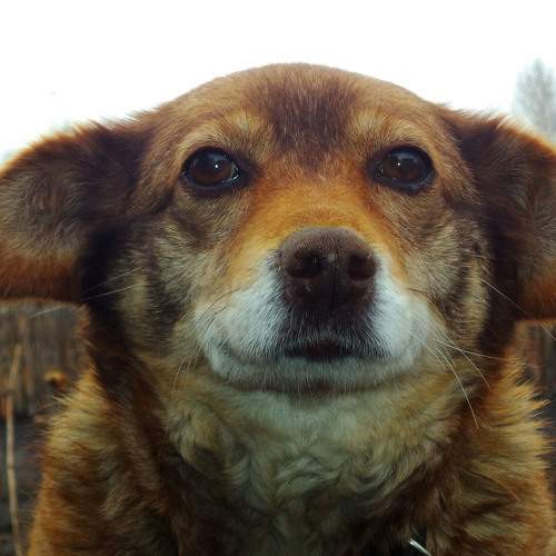 Photo #7483047