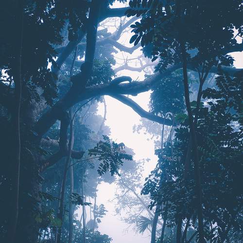 Lost in Nature
