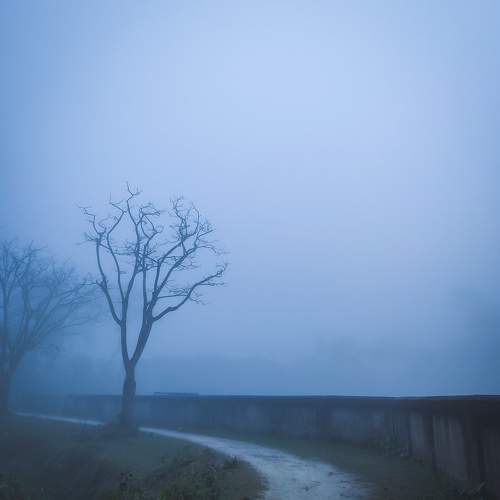 Photo #7483092