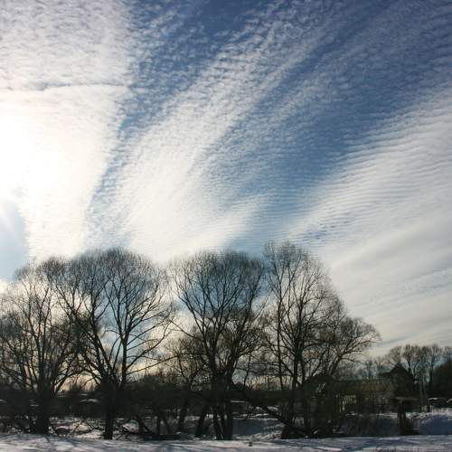 Photo #7483488