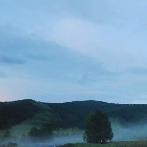 Photo #7483659