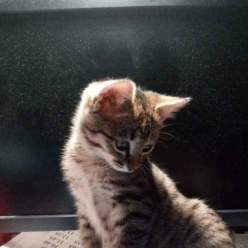 Photo #7483805