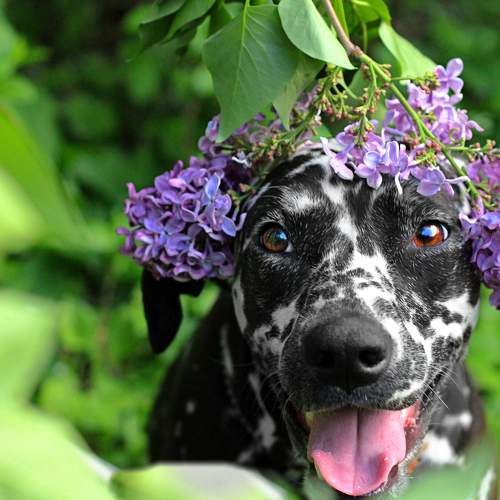 Photo #7484140