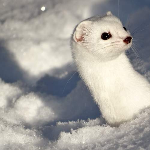 Photo #7484504