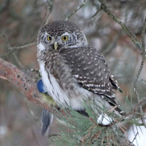 Photo #7484505