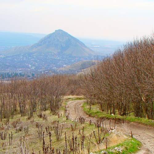 Photo #7484642