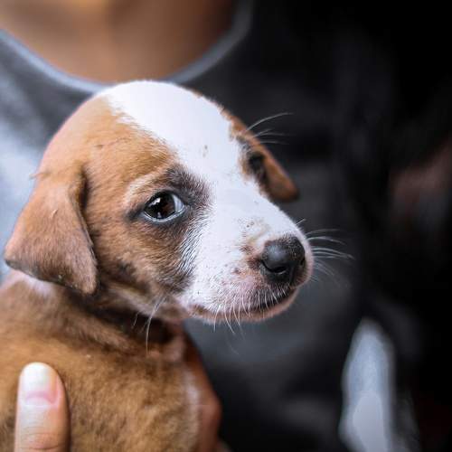 Photo #7484661