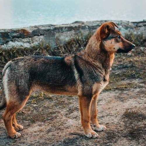 Photo #7484686