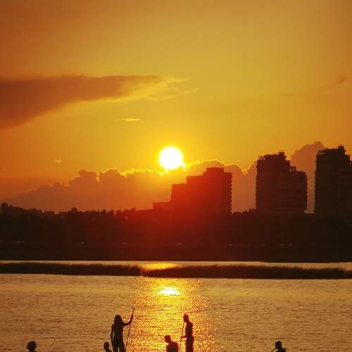 Photo #7484787