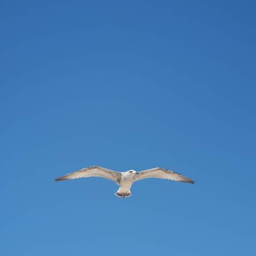 Photo #7484789