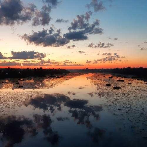Photo #7484898