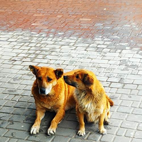Photo #7485634