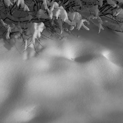 Photo #7485738