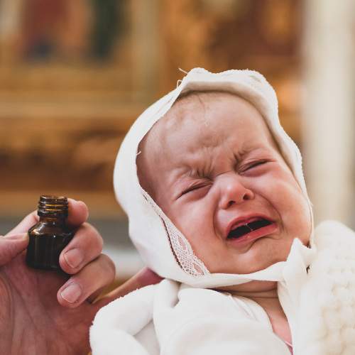 Photo #7485759