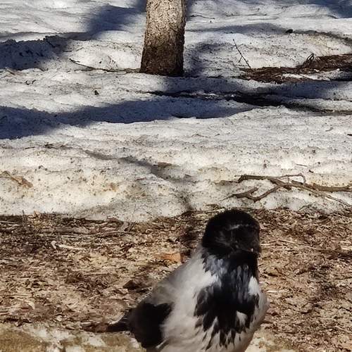 Photo #7485884