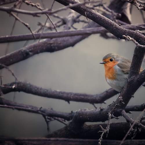 Photo #7486316