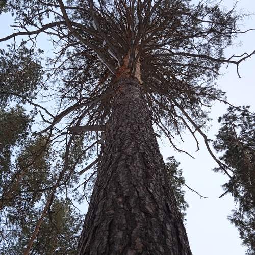 Photo #7486515