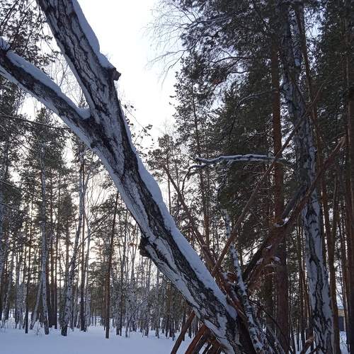 Photo #7486516