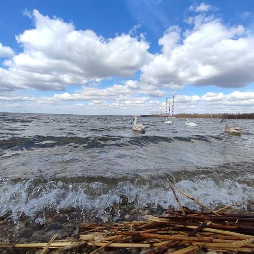 Photo #7486986