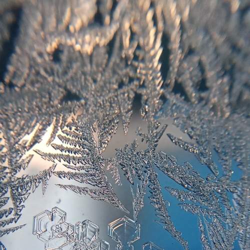 Photo #7487056