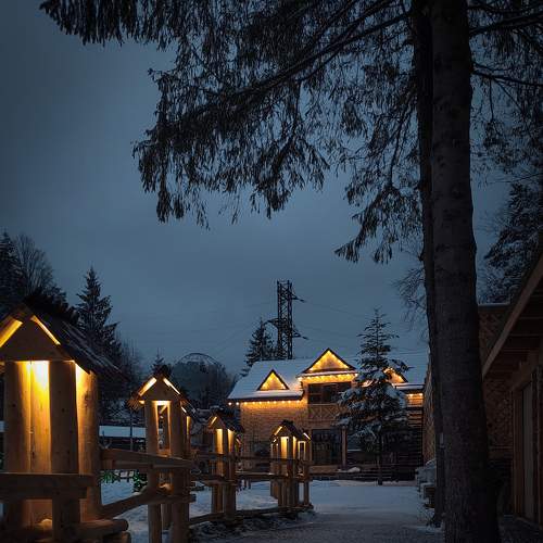 Photo #7487089