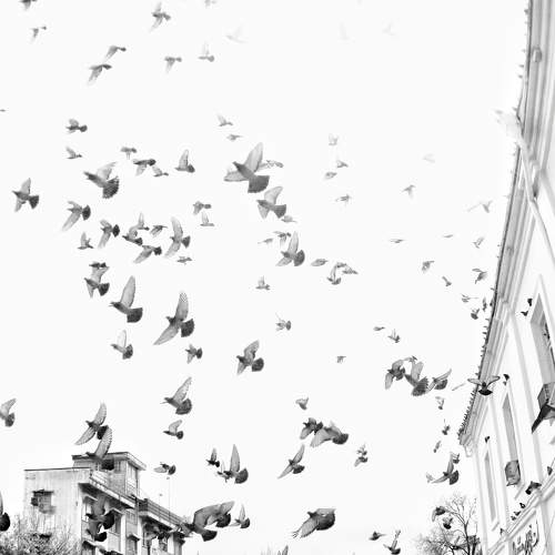 Photo #7487614