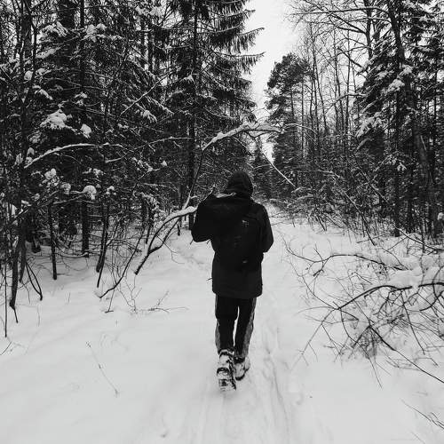 Photo #7487635