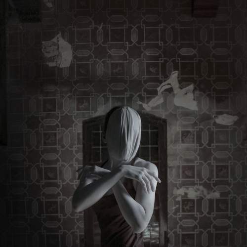 Photo #7487762