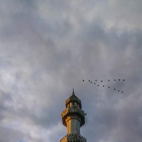 Photo #7487766