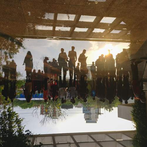 Photo #7487772