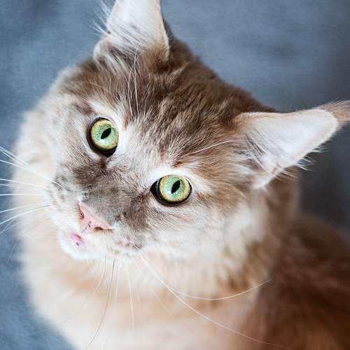 Photo #7487904
