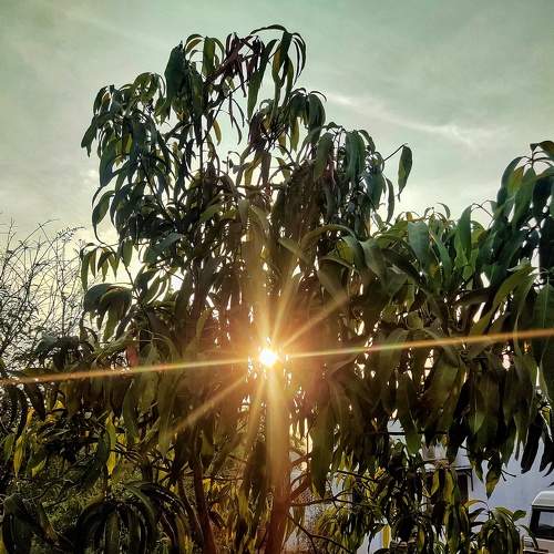 Photo #7488235