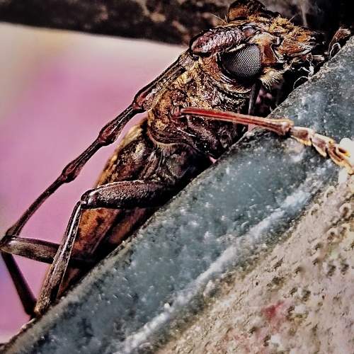 Photo #7488239