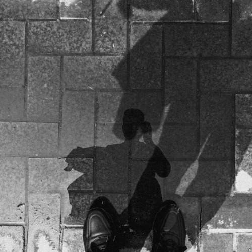 Photo #7488494