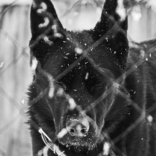 Photo #7488598