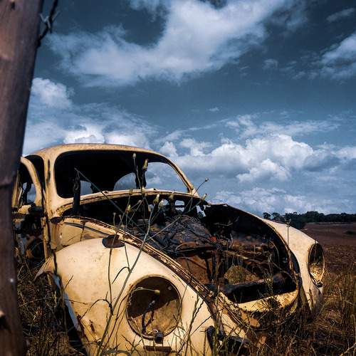 Photo #7488705