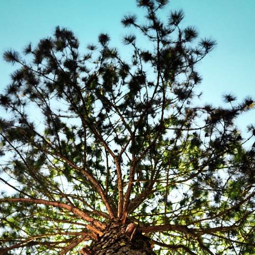 Photo #7488712