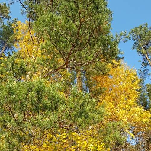 Photo #7489065