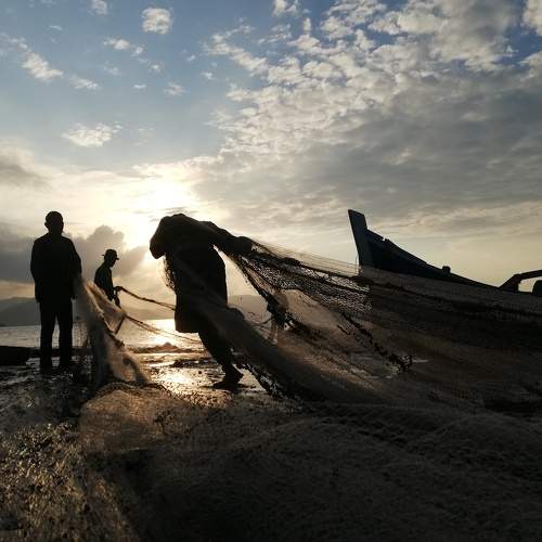 Fishing Trawlers