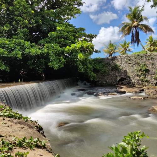 Photo #7489187